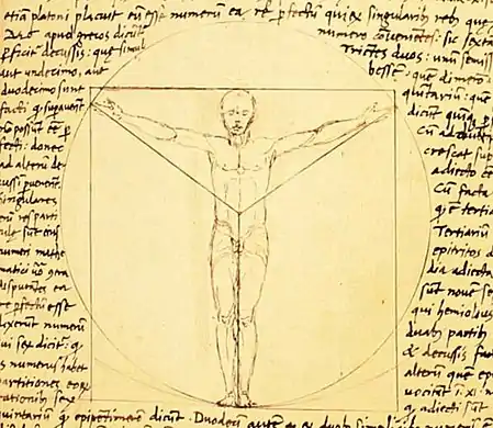 A 'Vitruvian Man' prototype by Giacomo Andrea, 1490