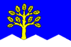 Flag of Skalice