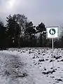 This forest path is open to the public