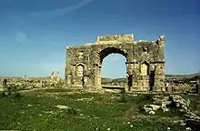 The ruin of a stone arch on grass. A tourist poses by the arch.