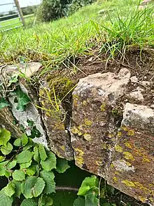 Close-up of the voussoirs that make up the low stone parapet of Bow Bridge. The stones are shown with spots of yellow lichen and grass growing from earth at the top of the arch. A modern aluminium farm gate can be seen in the background.