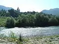 Vișeu River in Valea Vișeului
