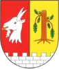 Coat of arms of Vyšehořovice