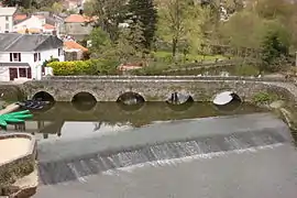 The Gallo-Roman bridge in Rocheserviere