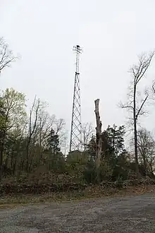 A radio tower surrounded by trees