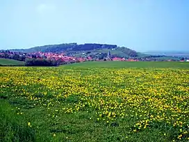 View from the southeast over Bezingerode to the Austberg and Austberg Tower