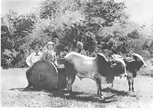 Sanderson and Prince Albert Victor in Mysore, 1890