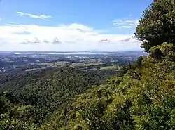 Waiatarua and Oratia looking towards Auckland, from the Waitākere Ranges