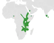 Map showing distribution of Wajira in Africa, the Arabian Peninsula and southern India