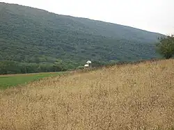 Farm and mountain in Walker Township