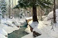 Snowy Stream