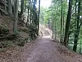 Typical hillside path