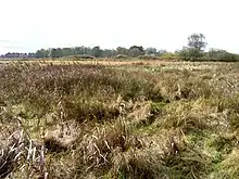 Wangford Warren and Carr