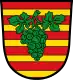 Coat of arms of Erlabrunn