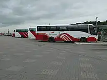 Buses at stand