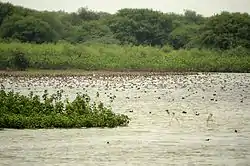 View of Karaivetti Bird Sanctuary