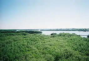 Weedon Island Site