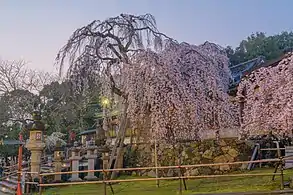 Himuro Shrine, established in 710