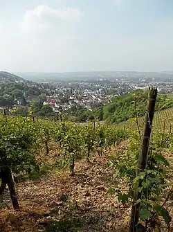 Oberdollendorf from the vineyards