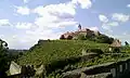 Vineyards on the top of the fortified hill, surrounding the castle proper
