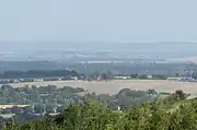 Wittenham Clumps