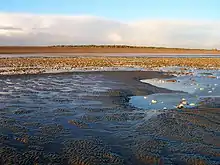 Climping Beach