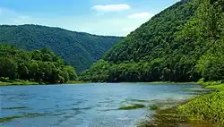 West Branch Susquehanna River in Grugan Township