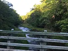 Wooden walking bridge going over a river surrounded by forested area in the park