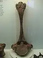 The upper back (thoracic) vertebra of the West Runton Mammoth exhibited at Cromer Museum.