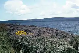 Carrowmore Lake