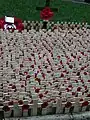 The Field of Remembrance outside Westminster Abbey