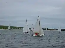 Skiffs racing in the Bay of Pierowall