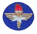 USAF Air Training Command emblem (1950s)