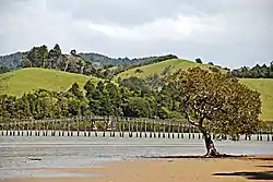 Whananaki Footbridge