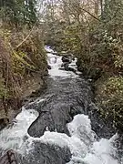 The lower falls, in downtown Bellingham