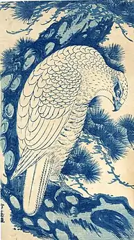 White Falcon in a pine tree. Woodblock print, 13.5 x 7.75 in.