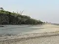 White Sand Beach of Bakkhali