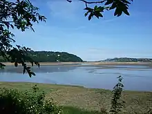 View across river estuary with grassy foreground and trees on skyline