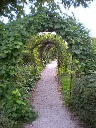 Pathway in the rose garden on the south side of the mansion.