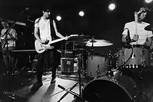 Wildlife Control during a concert at Mercury Lounge in New York City in August 2012