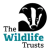 Logo of The Wildlife Trusts