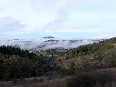 Fog in valley