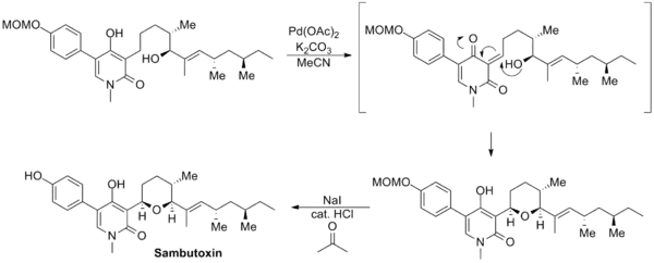 Williams sambutoxin synthesis