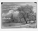 Willow Tree, Harlem Creek, New York, 1853, Metropolitan Museum of Art