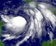 Tropical Storm Wilma at T3.0
