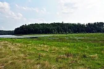 Transition between the deeper, open eastern basin and the peat mat-covered central basin