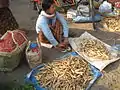 A young Burmese woman sells winged bean roots at a market in Mandalay