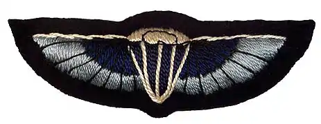 Operational SAS wings