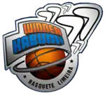 Winner Limeira Basquete logo