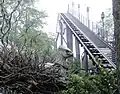 Flight of the Hippogriff at Universal Studios Hollywood also uses shades of green to blend into the foliage